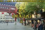 柳涛征西 三