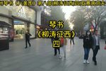 柳涛征西 四下载