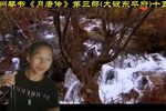 大破东平府 十五