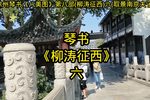 柳涛征西 第六部