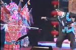 杨门女将 选段