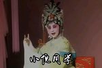 贺后骂殿