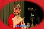 站花墙下载