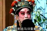 王三姐挖菜 武家坡、薛平贵回寒窑