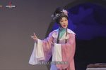 泪洒相思地 全集