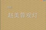 赵美蓉观灯