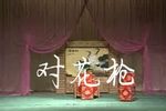 对花枪下载