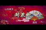 对花枪
