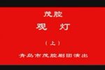 赵美蓉观灯 上