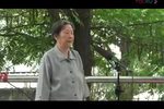 四告