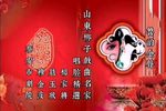 杨家将篡玉状
