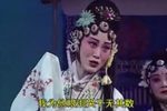 泪洒相思地 临终恨