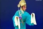 赵美蓉观灯