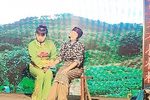 双槐树