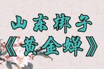黄金婵