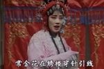 打保府