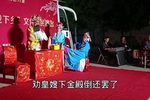 花打朝 金殿讲情