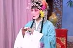 大花园 大书观