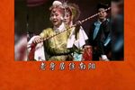 对花枪