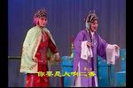 大闹桃花店 标清