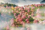 孔雀东南飞 第四场 痛别（上）
