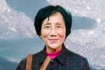 老虎学艺