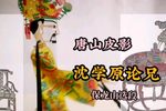 沈学原论兄 保龙山精选唱段