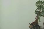 白蛇传