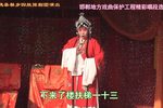 女中魁 观花