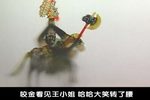 瓦岗寨 第10集