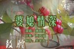 婆媳情深 上