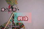 胡诌 保龙山选段