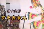 罗天表审儿 大金牌精选