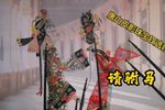 请驸马
