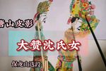 大赞沈氏女 保龙山选段