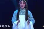 包公三勘蝴蝶梦 第七场