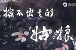 嫁不出去的姑娘 全剧 1983年