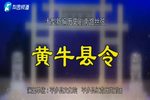 黄牛县令
