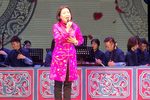 杨三姐告状,桃花庵 2.26沈阳梨园剧场
