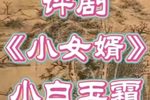 小女婿