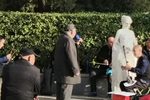 呼家将