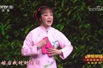 小女婿 选段