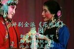 花为媒 花园