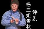 杨三姐告状 1999版 全剧