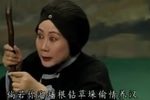 村南柳