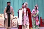 水冰心抗婚：枯木逢春