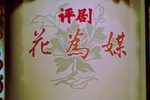 花为媒 全剧下载