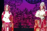 花为媒