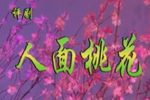 人面桃花 全剧
