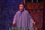 村南柳